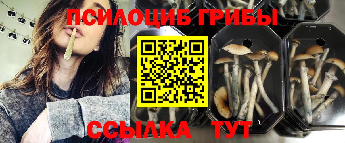 Галлюциногенные грибы прущие грибы Рыбинск